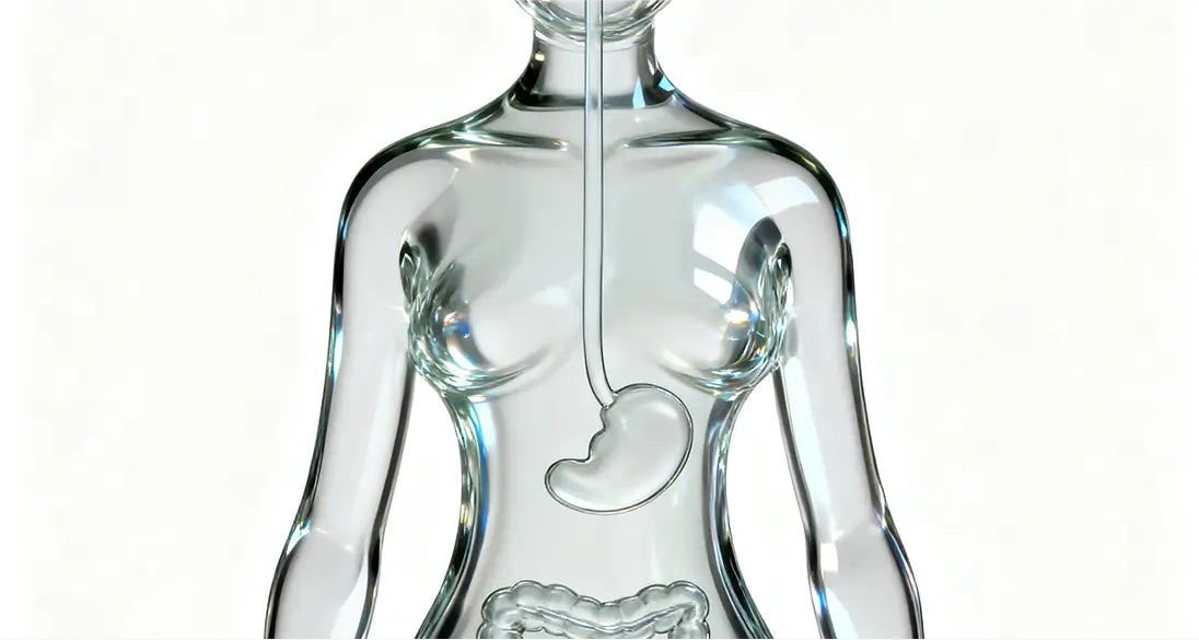 Digestion Support and Gut Balance to Control Your Weight