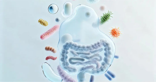 A representation of the human gut microbiome and the trillions of bacteria that make it up.