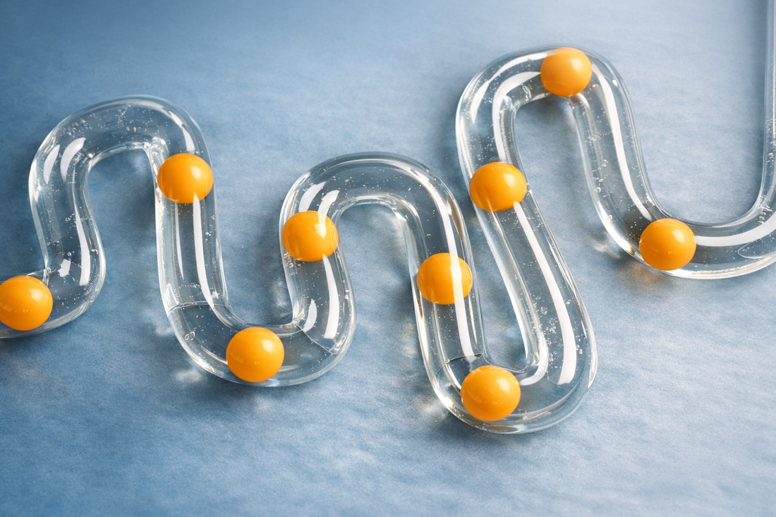 Probiotics for Constipation: What the Evidence Suggests and Gentle Next Steps