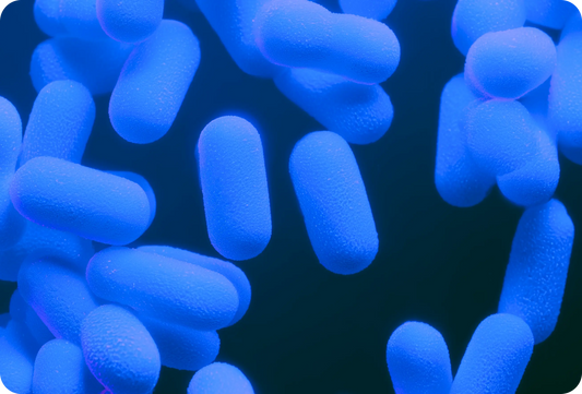 Does WonderBiotics interact with GLP-1 medications?