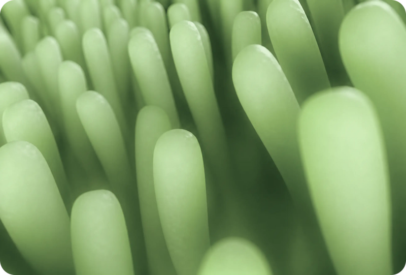 How the Gut Works: A Science-Based Guide to the Body's Most Underrated Organ