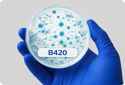 The B420 Strain: Why This Probiotic Matters for Weight Management