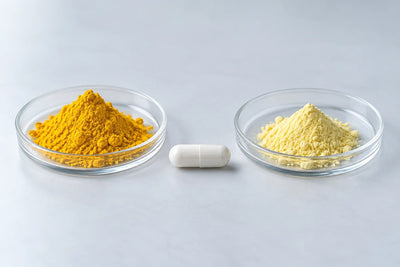 Berberine Phytosome vs. Dihydroberberine: Two Fixes for the Same Absorption Problem