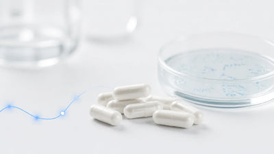 Best Probiotic Products for Weight and Appetite Support