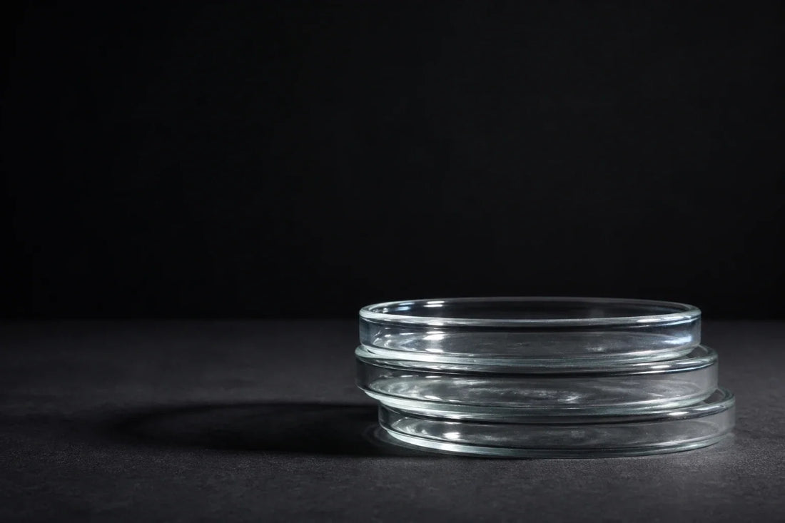 What Changes After Your GLP-1 Dose Stabilizes?
