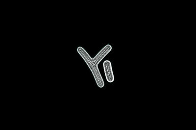 Why Pair B420 With HN019 in One Probiotic?