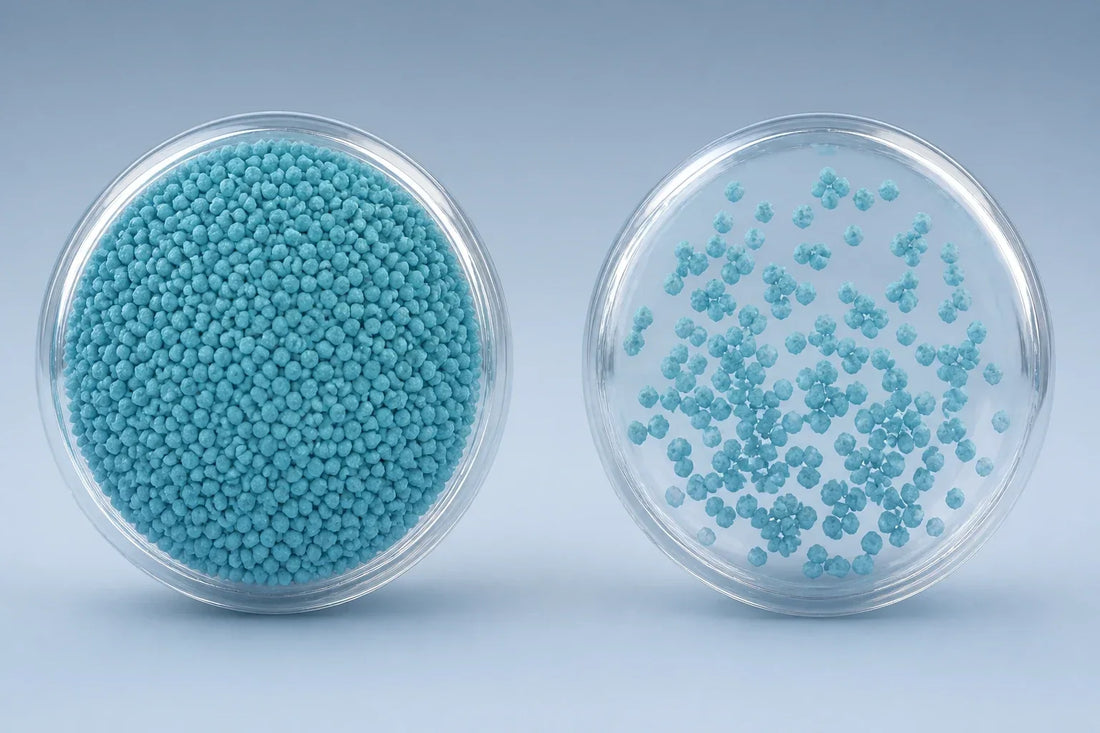 WonderBiotics vs UltraFlora Control: Which B420 Fits You?
