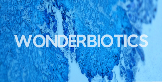 The WonderBiotics Philosophy: Why We Do What We Do and How We Think About Gut Health