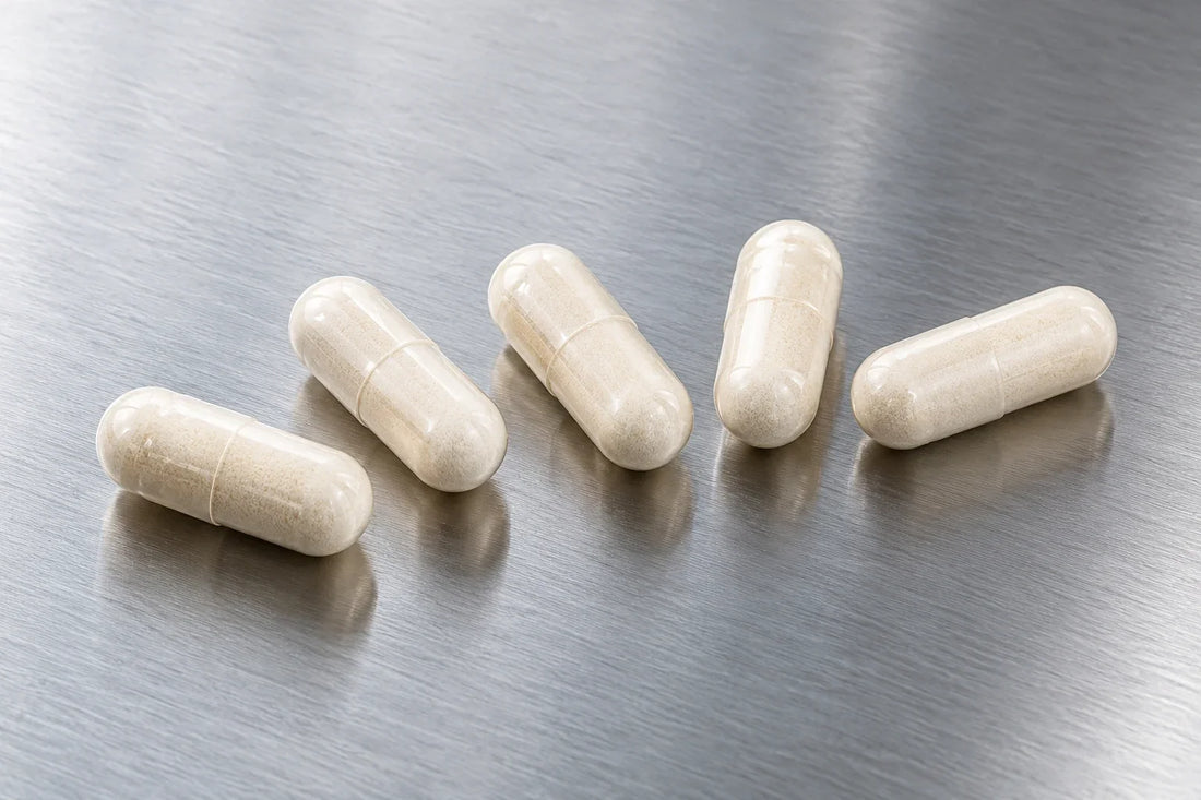 Probiotics for Bloating: Strains, Brands, and Daily Habits