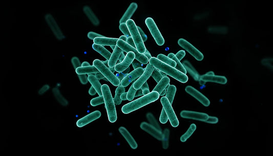 Probiotics for GLP-1 Constipation: Strains That Help