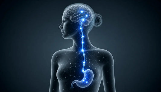 Appetite Control Supplements That Work With Your Biology