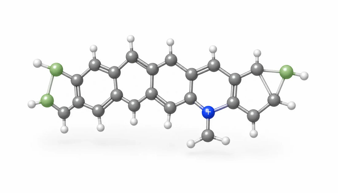 Appetite Suppressant Alternatives to Berberine That Work