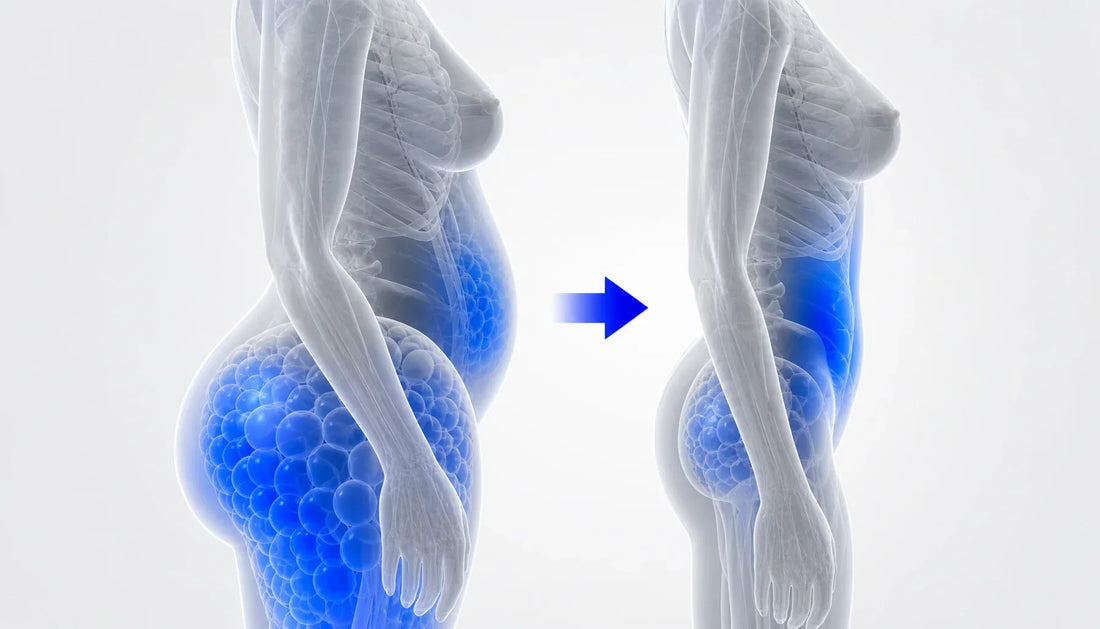 Menopause Body Changes: Supplements That Target Them