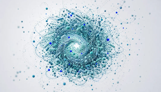 Gut Microbiome Weight Loss: How Bacteria Shape Body Weight