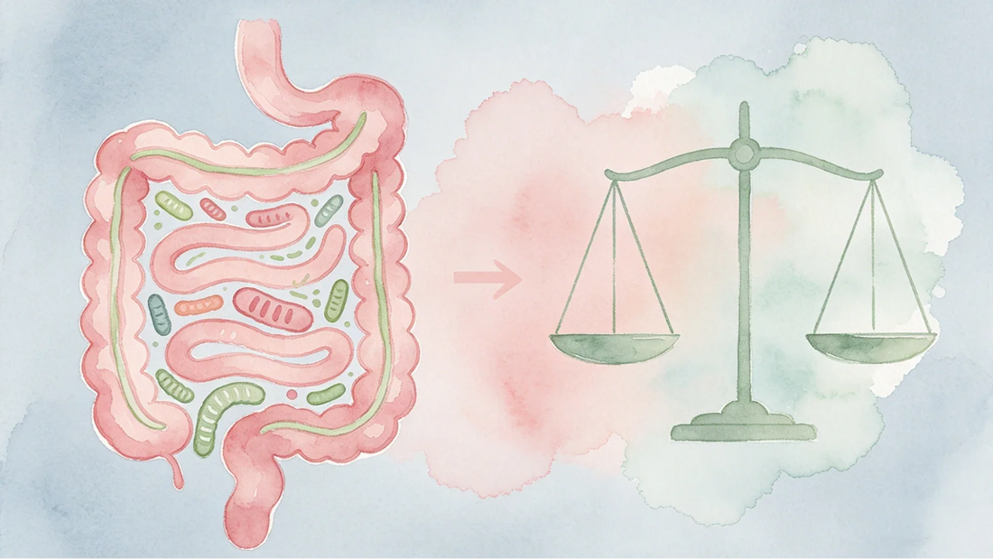 Best Probiotics for Weight Loss and Gut Support