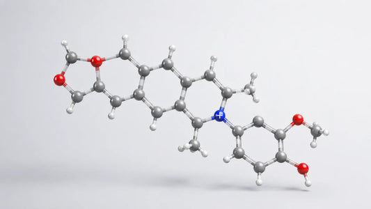 Best Dihydroberberine Supplement: Bioavailability Evidence