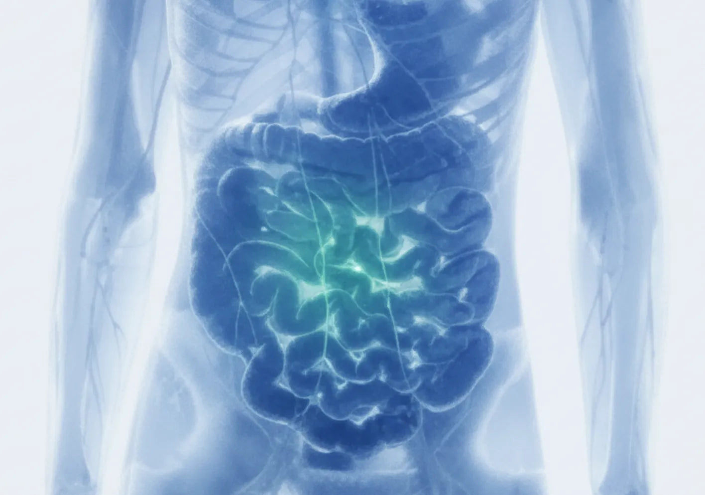 Computer-generated image of a human digestive system with a highlighted area.