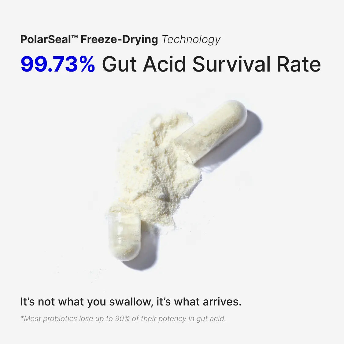 WonderBiotics Probiotics for Gut Health capsule showing freeze-drying gut acid survival technology