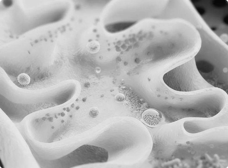 Probiotic microstructure in grayscale