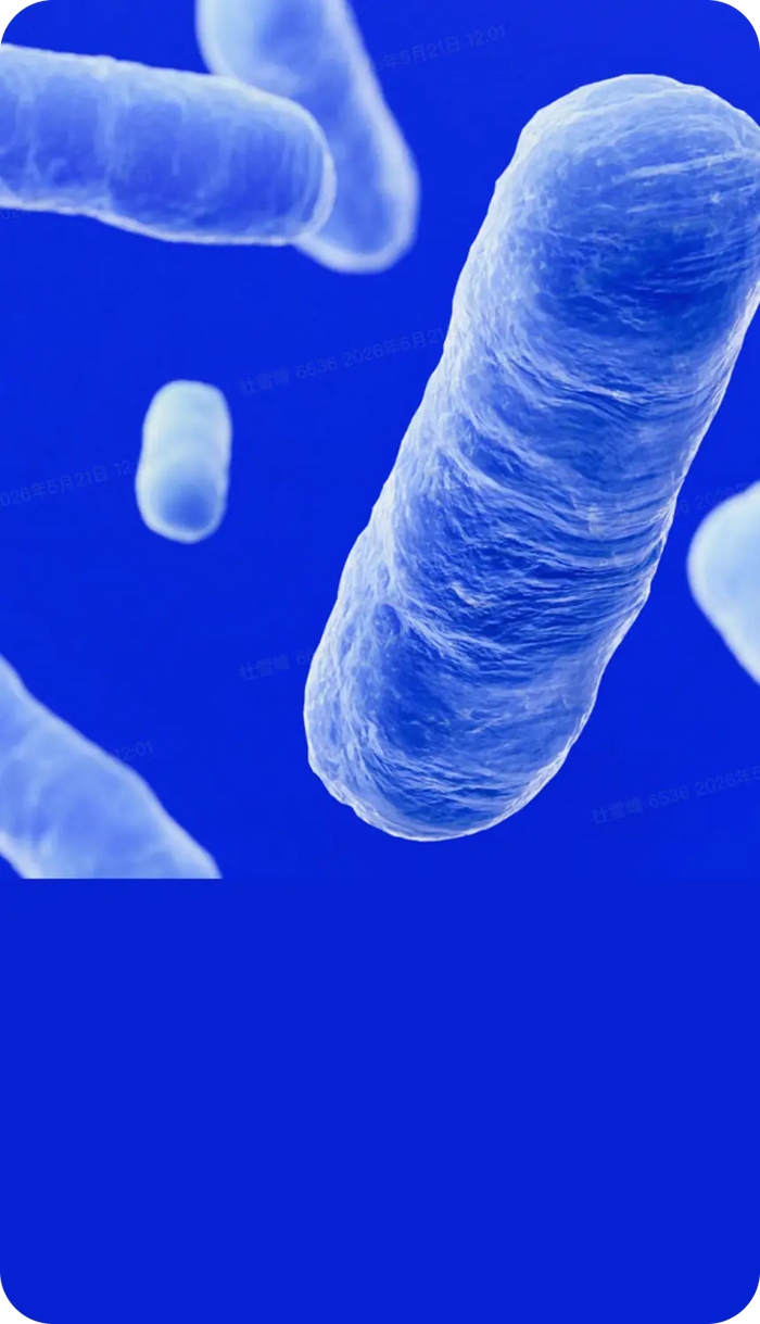 WonderBiotics Frame icon