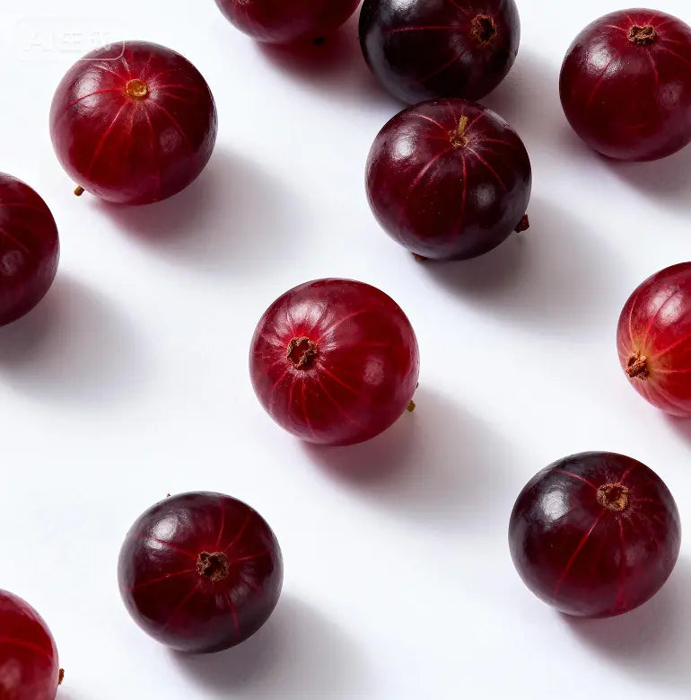Red berries scattered on a white background