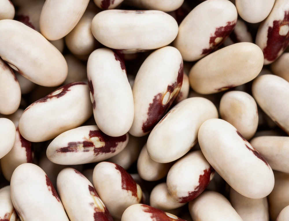 White Kidney Bean