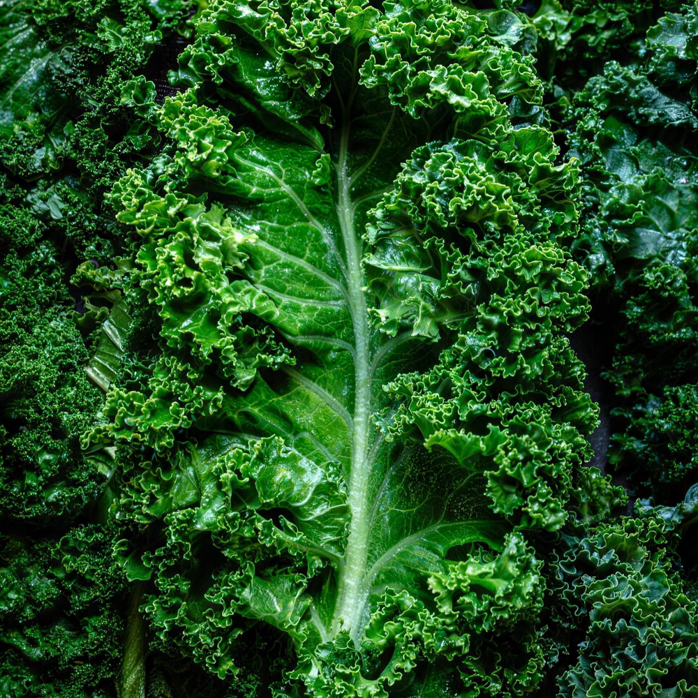 Whole Kale Fiber