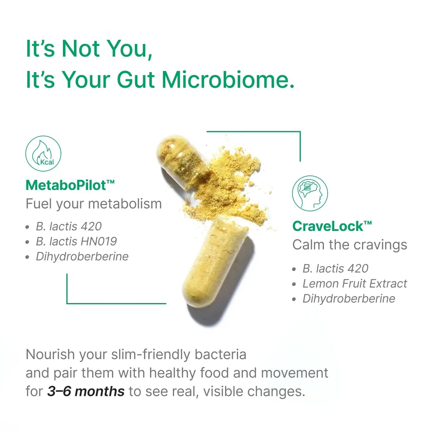 MetaboPilot & CraveLock probiotics for weight management support.