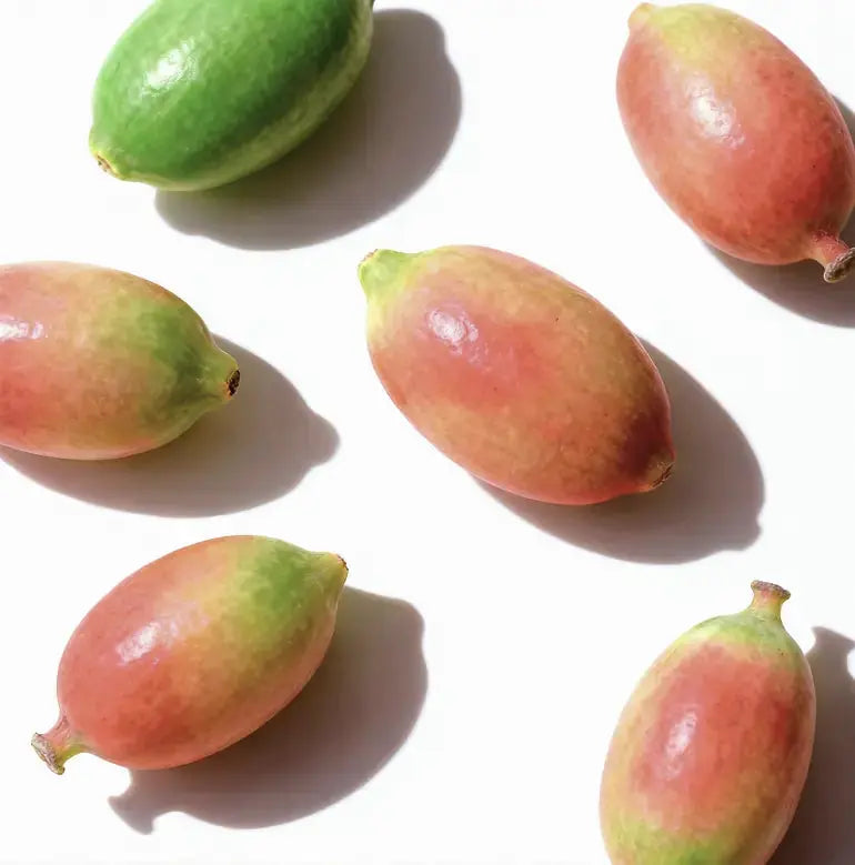 Dihydroberberine ingredient for glucose support